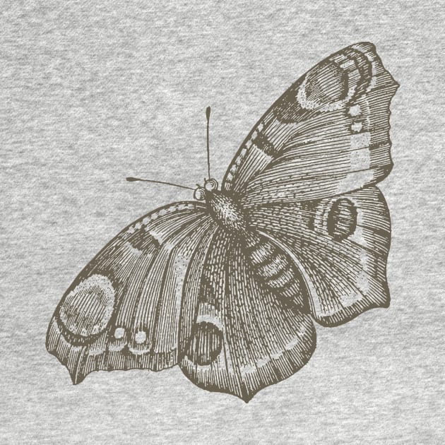 Dramabite Vintage butterfly illustration by dramabite